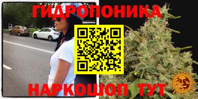 ешки Кимры