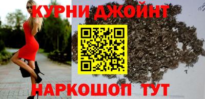дурь Кингисепп