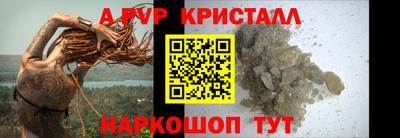 дурь Кингисепп