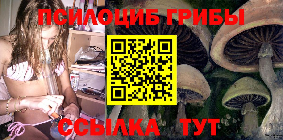 Псилоцибиновые грибы ЛСД Ейск